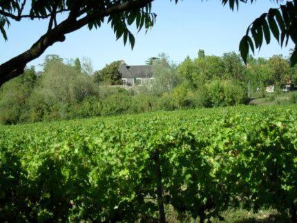 Le Logis Solidaire * Saint-Aubin-de-Luigne